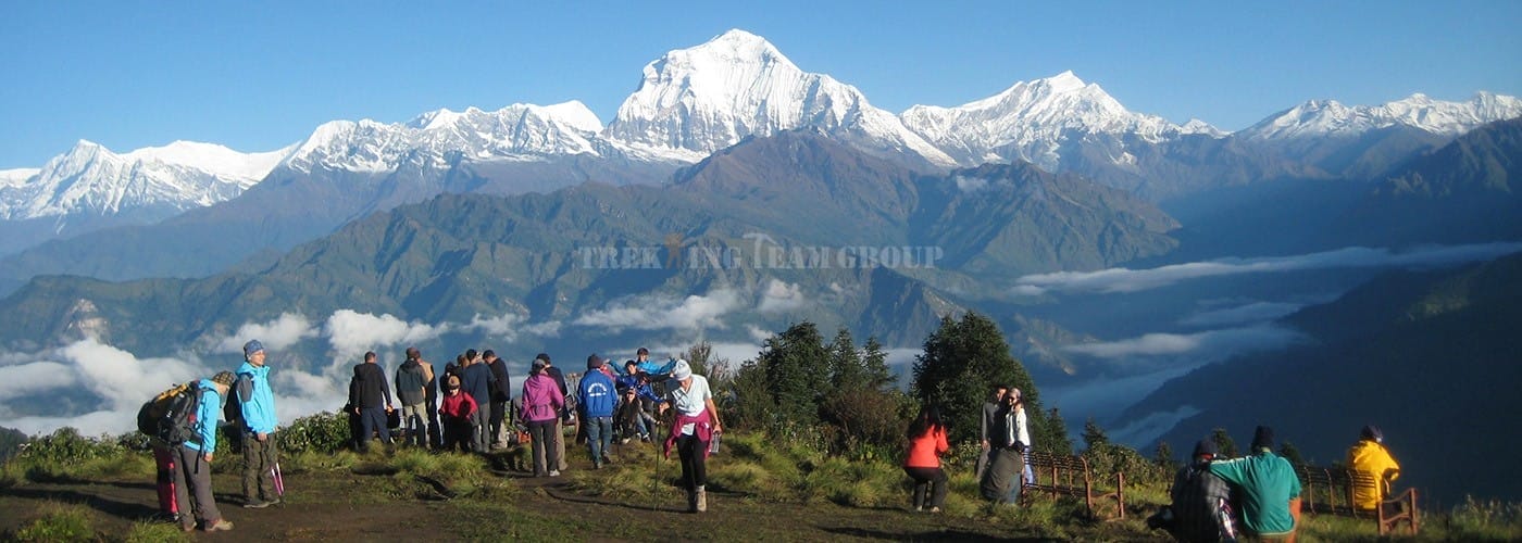 School Travel Ghorepani And Poon Hill Trek
