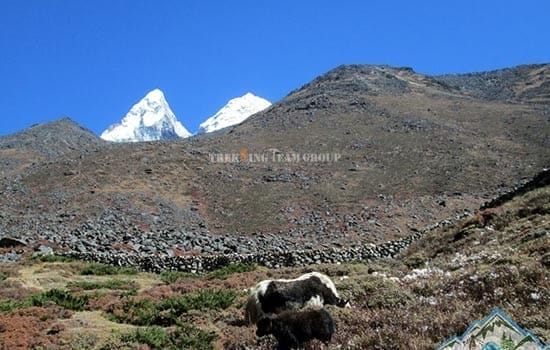 Jiri to Everest Base Camp Trek img 13