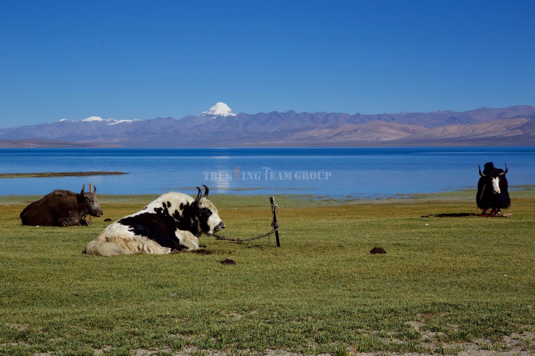 Kailash Mansarovar via Lhasa