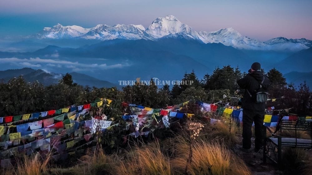 Poonhill Trek Nepal - Annapurna Rhododendron - Trekking Team Group Thumbnail