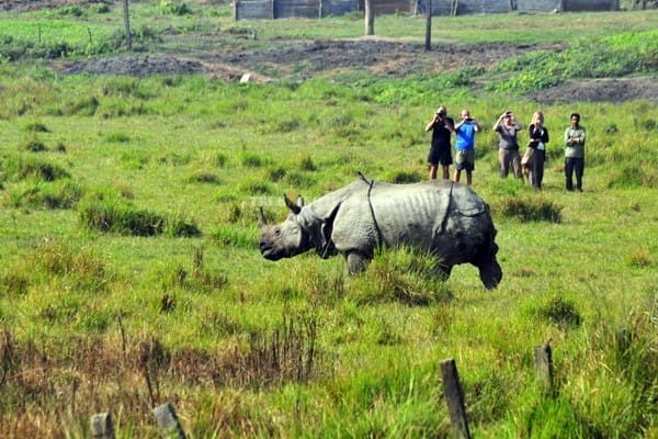 Rhino watchingin Chitwan-Trekking Team Group