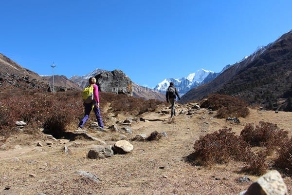 walk throughLangtang trail